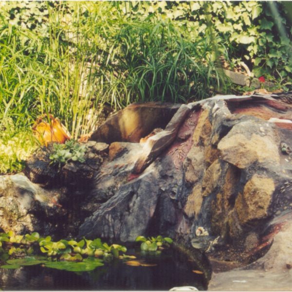 palm_06